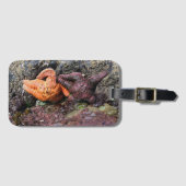 Starfish bij Bob Creek, OF Bagagelabel (Voorkant (horizontaal))