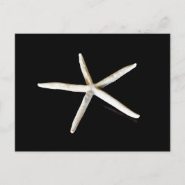 Starfish Briefkaart