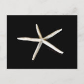 Starfish Briefkaart (Voorkant)