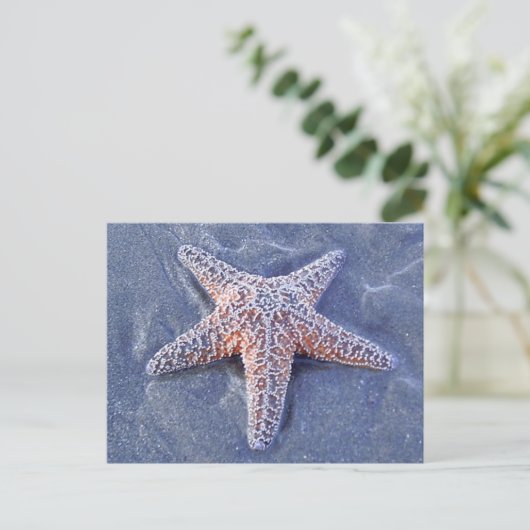 Starfish Briefkaart (Staand voorkant)