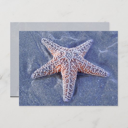 Starfish Briefkaart (Voorkant / Achterkant)