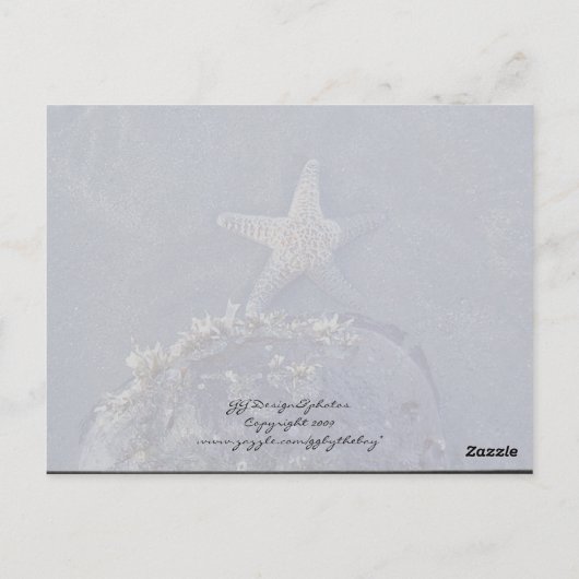 Starfish Briefkaart (Achterkant)