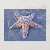Starfish Briefkaart (Voorkant)