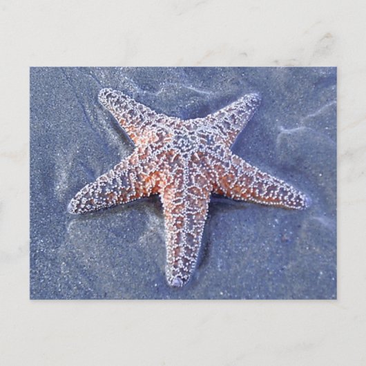 Starfish Briefkaart (Voorkant)