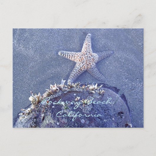 Starfish Briefkaart (Voorkant)