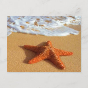 Starfish Briefkaart
