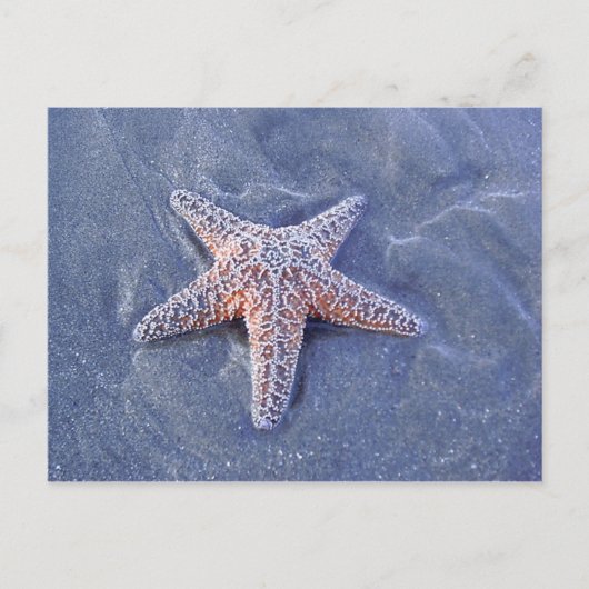 Starfish Briefkaart (Voorkant)