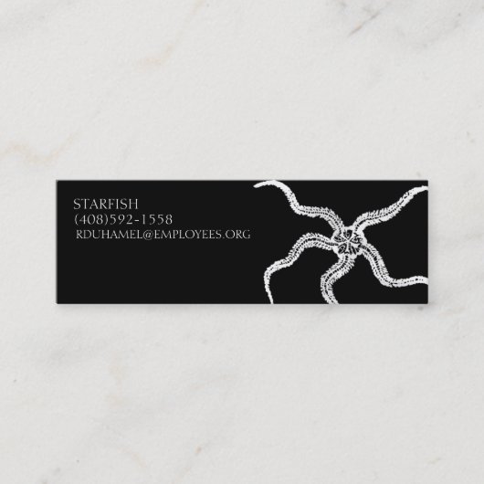STARFISH BUISNESS CARD #2 MINI VISITEKAARTJE (Voorkant)