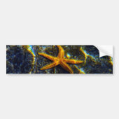 Starfish Bumpersticker (Voorkant)