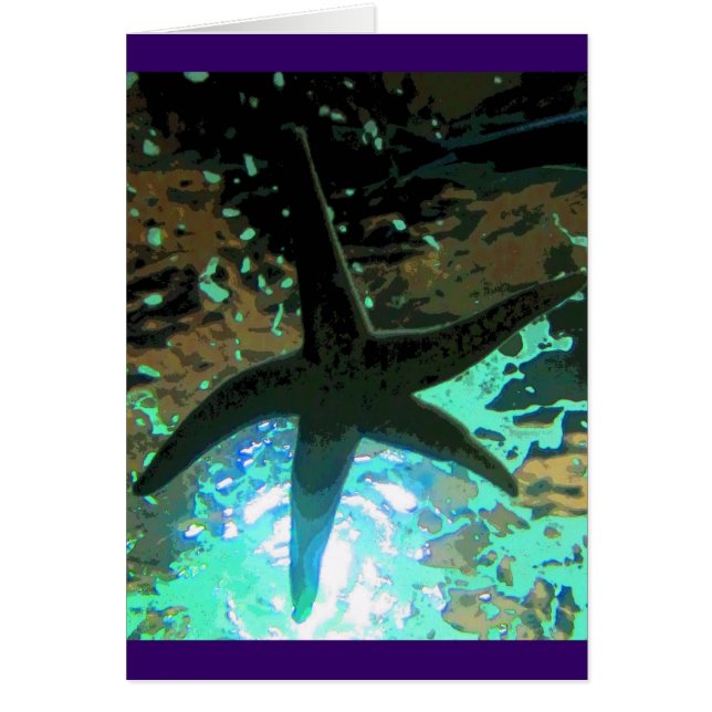 Starfish CB (Voorkant)