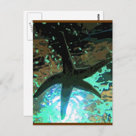 Starfish CB Briefkaart (Voorkant / Achterkant)