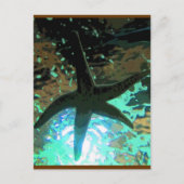 Starfish CB Briefkaart (Voorkant)