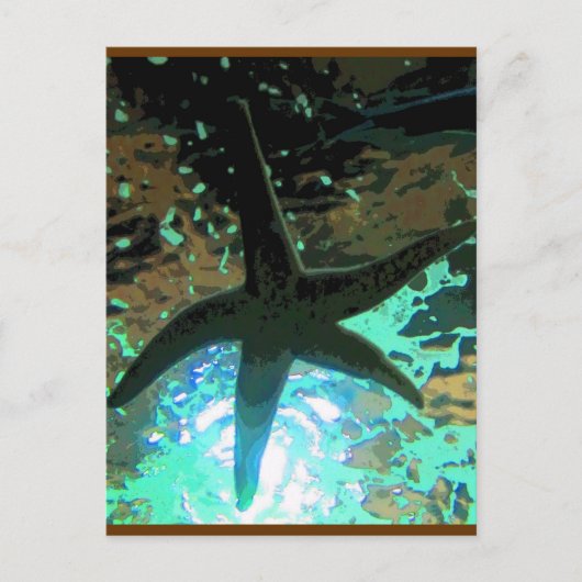 Starfish CB Briefkaart (Voorkant)