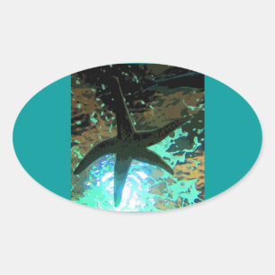 Starfish CB Ovale Sticker