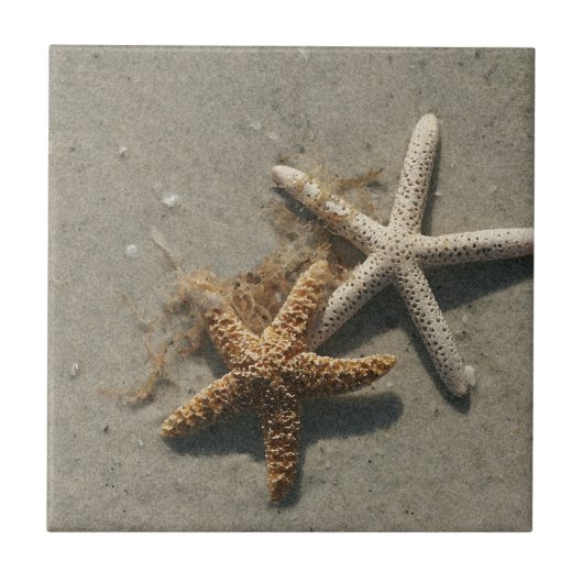 Starfish Ceramic Tile Trivet Tegeltje (Voorkant)