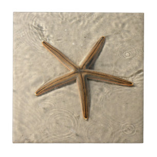 Starfish Ceramic Tile Trivet Tegeltje