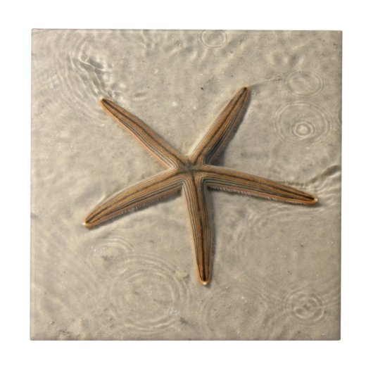 Starfish Ceramic Tile Trivet Tegeltje (Voorkant)