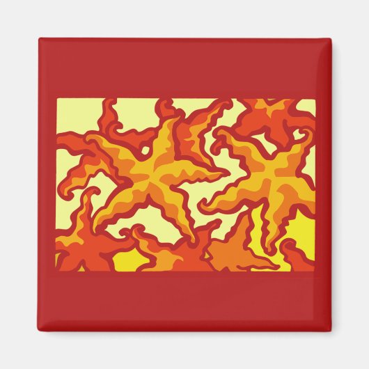 Starfish Compositie Magneet (Voorkant)