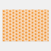 Starfish Conch Zee Shell Seashell Beach Shore Inpakpapier Vel (Voorkant 3)