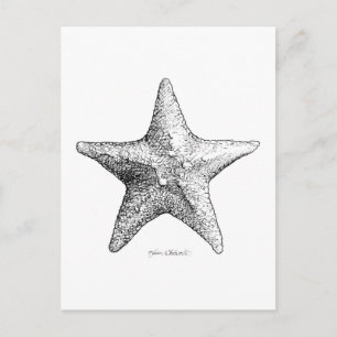 Starfish Draak Zwart-wit Zee Star Art Briefkaart