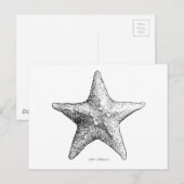 Starfish Drawing Black & White Sea Star Art Briefkaart (Voorkant / Achterkant)
