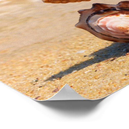 Starfish en Seashells op de strand Poster (Hoek)