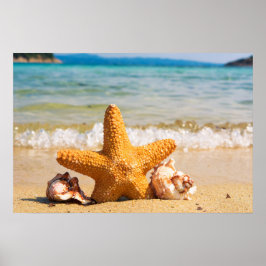Starfish en Seashells op de strand Poster