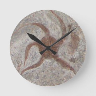 Starfish Fossil Wall klok