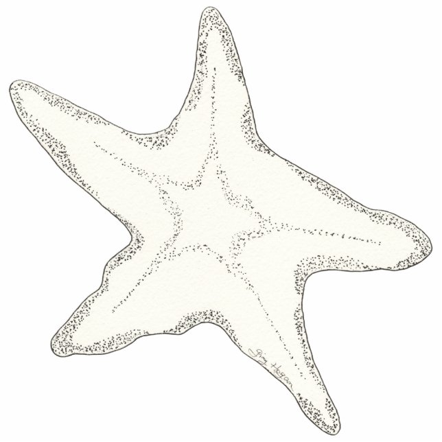 Starfish foto-scculptuur staand fotobeeldje  (Voorkant)