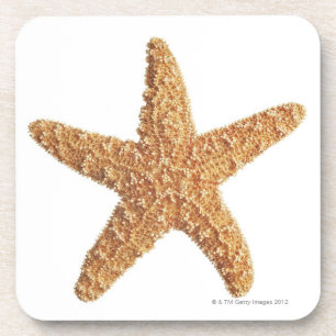 Starfish geïsoleerd op wit bier onderzetter