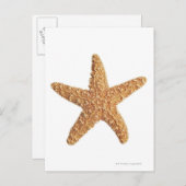 Starfish geïsoleerd op wit briefkaart (Voorkant / Achterkant)