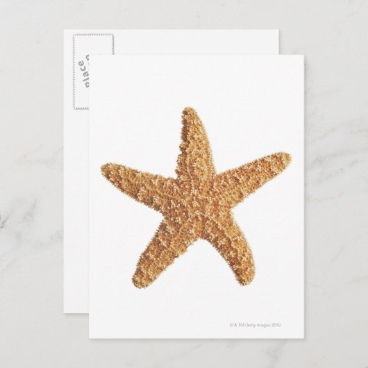 Starfish geïsoleerd op wit briefkaart (Voorkant / Achterkant)