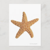 Starfish geïsoleerd op wit briefkaart (Voorkant)