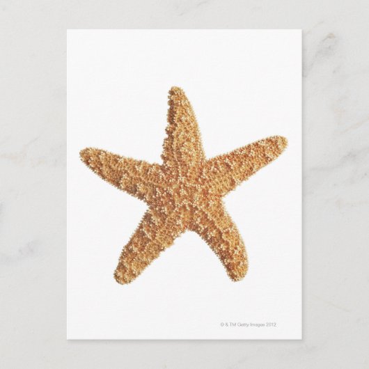 Starfish geïsoleerd op wit briefkaart (Voorkant)