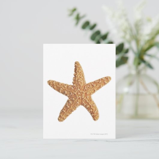 Starfish geïsoleerd op wit briefkaart (Staand voorkant)