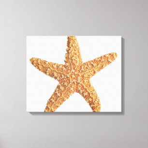 Starfish geïsoleerd op wit canvas afdruk