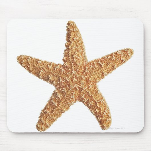 Starfish geïsoleerd op wit muismat (Voorkant)