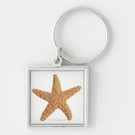 Starfish geïsoleerd op wit sleutelhanger (Voorkant)