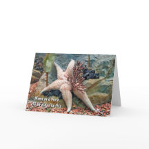 Starfish Humor voor Thinking Of You
