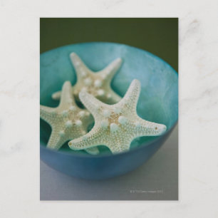 Starfish in bowl briefkaart