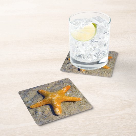 Starfish in de zand kartonnen onderzetters (Insitu)