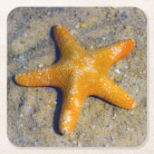 Starfish in de zand kartonnen onderzetters (Voorkant)