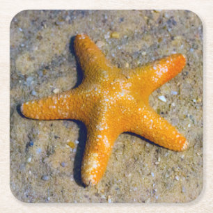 Starfish in de zand kartonnen onderzetters