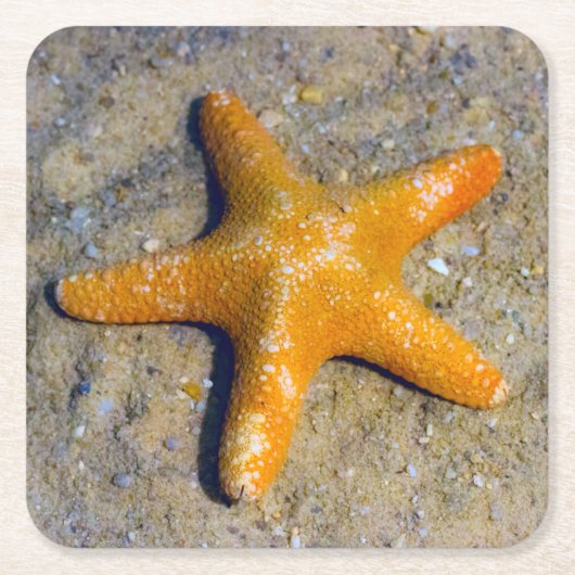 Starfish in de zand kartonnen onderzetters (Voorkant)
