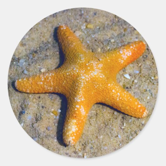 Starfish in de zand ronde sticker (Voorkant)