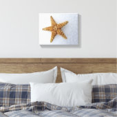 Starfish in the Snow original Photography Poster Canvas Afdruk (Insitu (Slaapkamer))