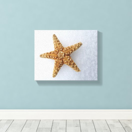 Starfish in the Snow original Photography Poster Canvas Afdruk (Insitu (Houten vloer))