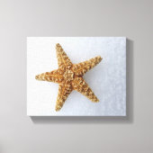 Starfish in the Snow original Photography Poster Canvas Afdruk (Voorkant)