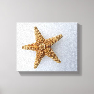 Starfish in the Snow original Photography Poster Canvas Afdruk