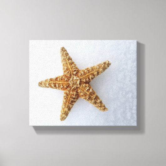 Starfish in the Snow original Photography Poster Canvas Afdruk (Voorkant)
